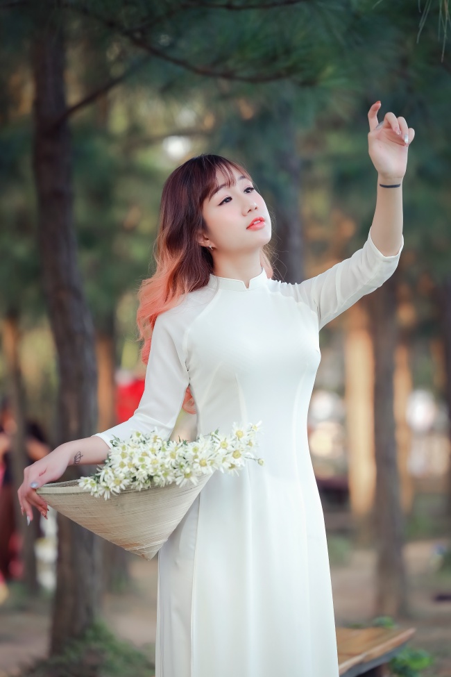 萝卜5